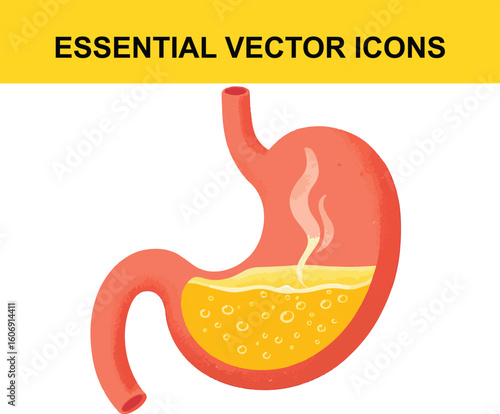 Human Stomach with Yellow Liquid and Steam human anatomy