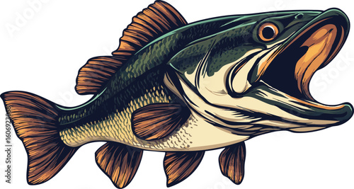 Illustration of a Largemouth Bass with Open Mouth on a White Background