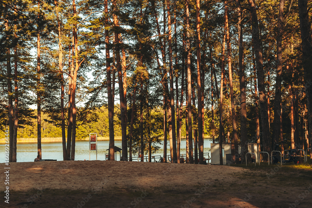 Fototapeta premium Nature resort photos of beautiful natural landscape - forest - woods, sand.