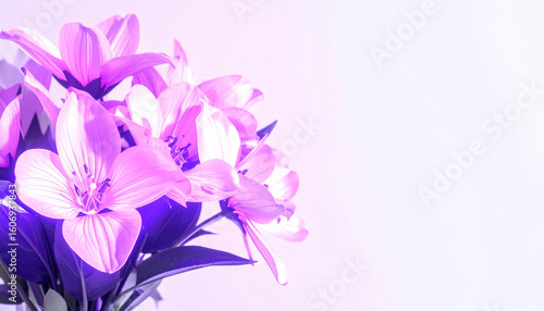 Wallpaper Mural 鮮やかな紫色の花束 Torontodigital.ca