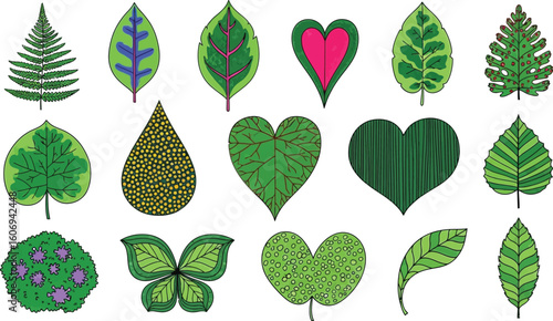 Various green leaves leaf shapes leaf design leaf art leaf pattern foliage flora nature