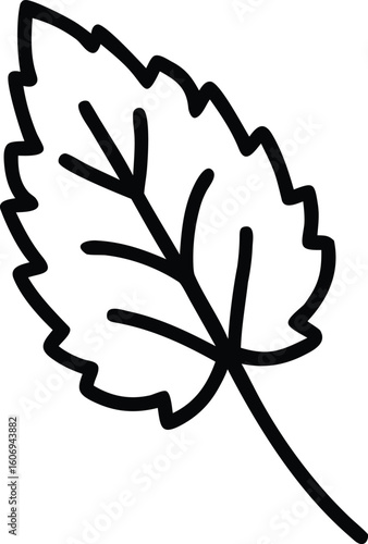 melissa medicinal leaf icon vector illustration