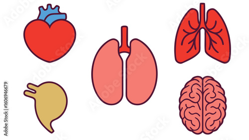Different human organs Collection of human icons set for medical and health concepts