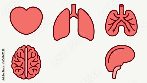 Different human organs Collection of human icons set for medical and health concepts