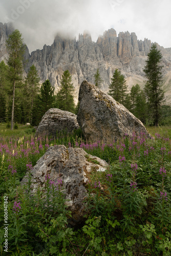Blick auf die Felstürme des Latemar Gebirge in den Dolomiten