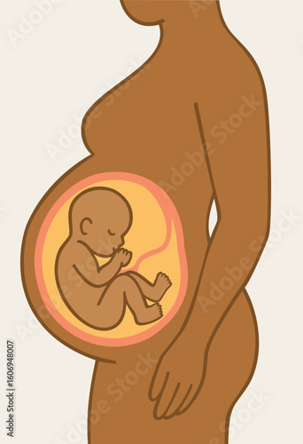 Fetus in womb of pregnant woman. Vector isolated illustration