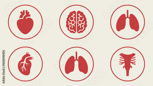 Different human organs Collection of human icons set for medical and health concepts