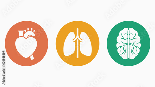 Different human organs Collection of human icons set for medical and health concepts