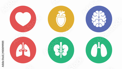 Different human organs Collection of human icons set for medical and health concepts