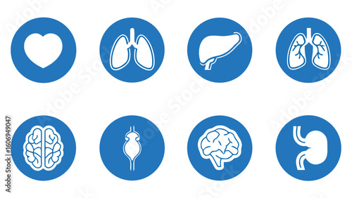 Different human organs Collection of human icons set for medical and health concepts