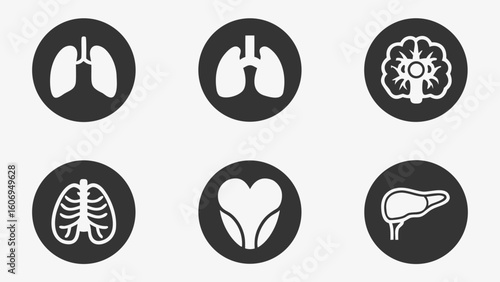 Different human organs Collection of human icons set for medical and health concepts