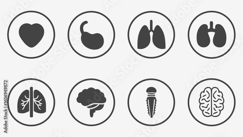 Different human organs Collection of human icons set for medical and health concepts