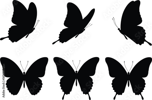 Black butterfly silhouette set, isolated flying insect icons, vector design for nature theme, moth clipart, graphic bug illustration