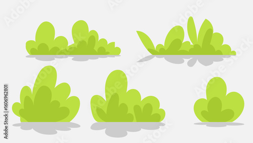 Collection of images of grass or shrubs