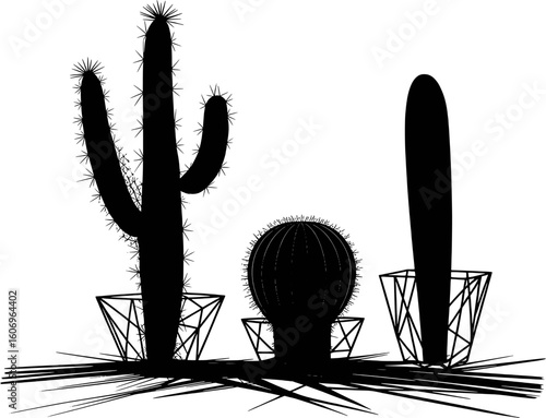 Tall columnar cactus round cactus and saguaro cactus silhouettes in geometric pots vector