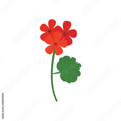 Vibrant Red Geranium Flat Color Icon: Garden & Balcony Flower Symbol