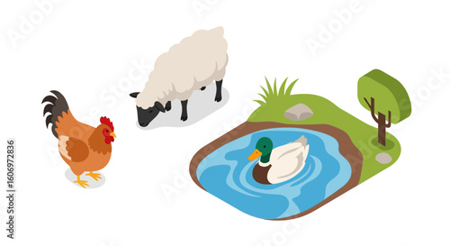 Isometric Farm Scene with Rooster on Eggs Sheep and Duck in a Pond