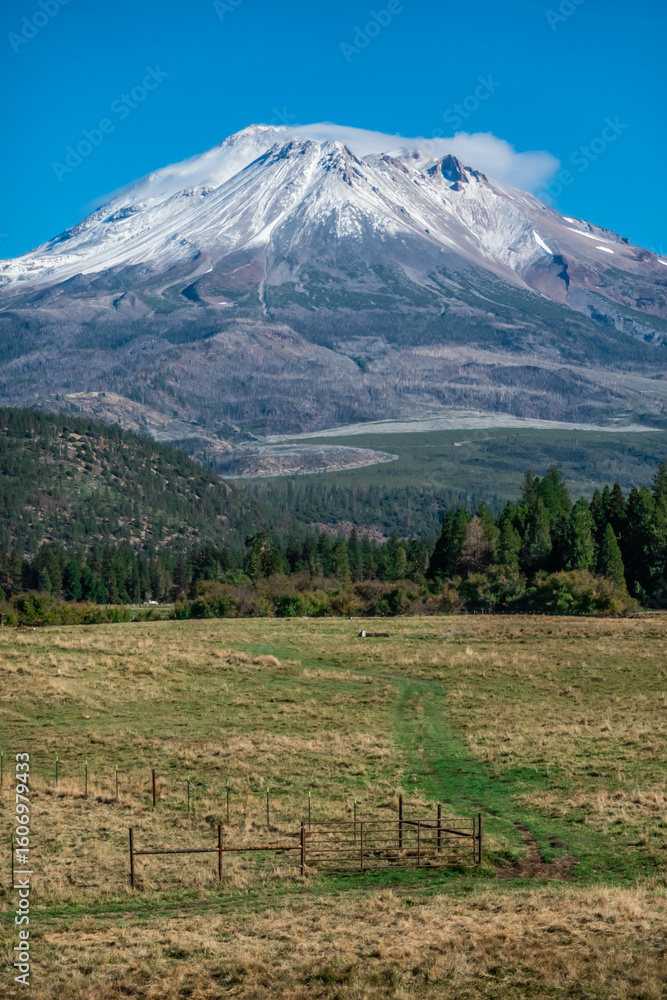 Fototapeta premium Mount Shasta in northern California with blue sky