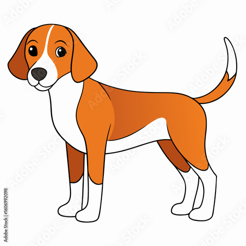 Vector art of a cute beagle dog standing on a white background