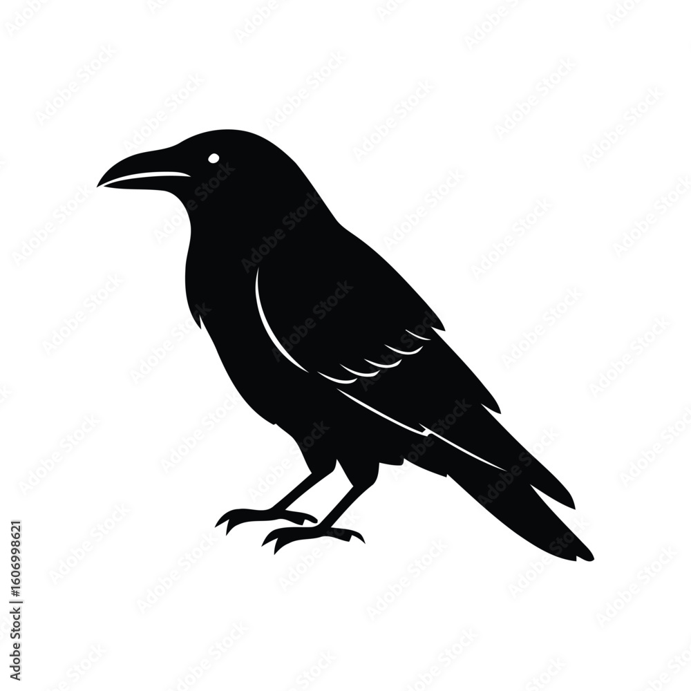 Fototapeta premium Silhouette of a black crow perched on white background