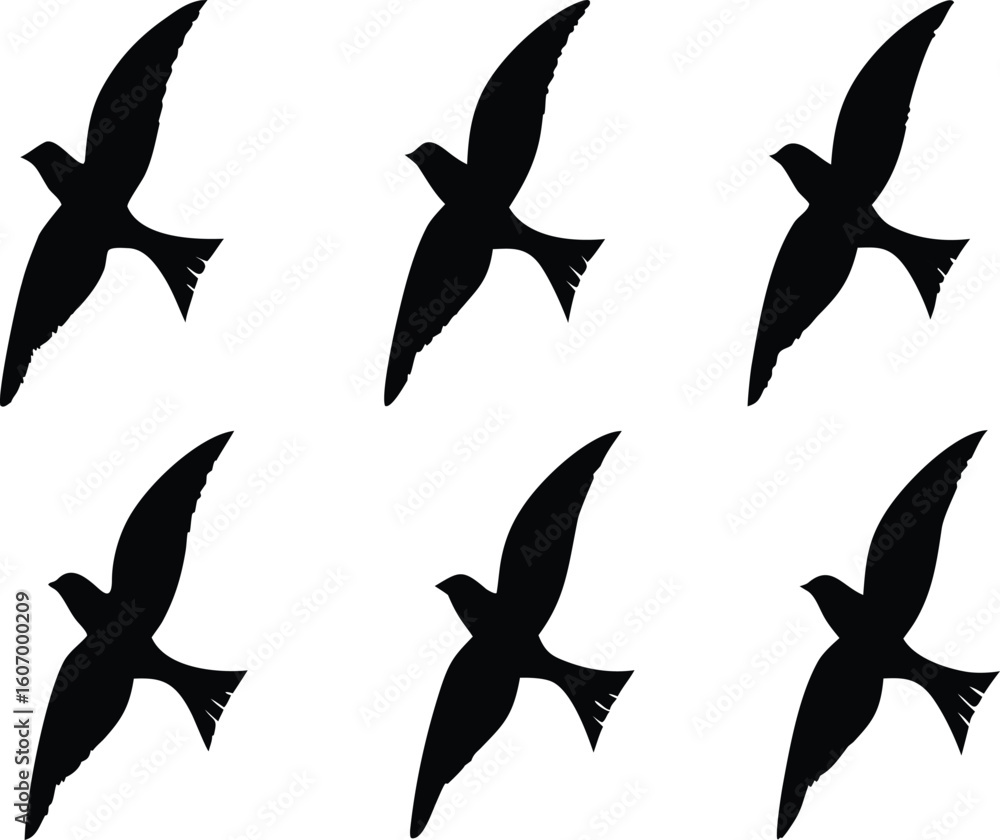 Fototapeta premium bundle of 6 black silhouettes of various types