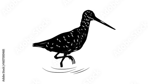 Long-billed Dowitcher bird, black isolated silhouette