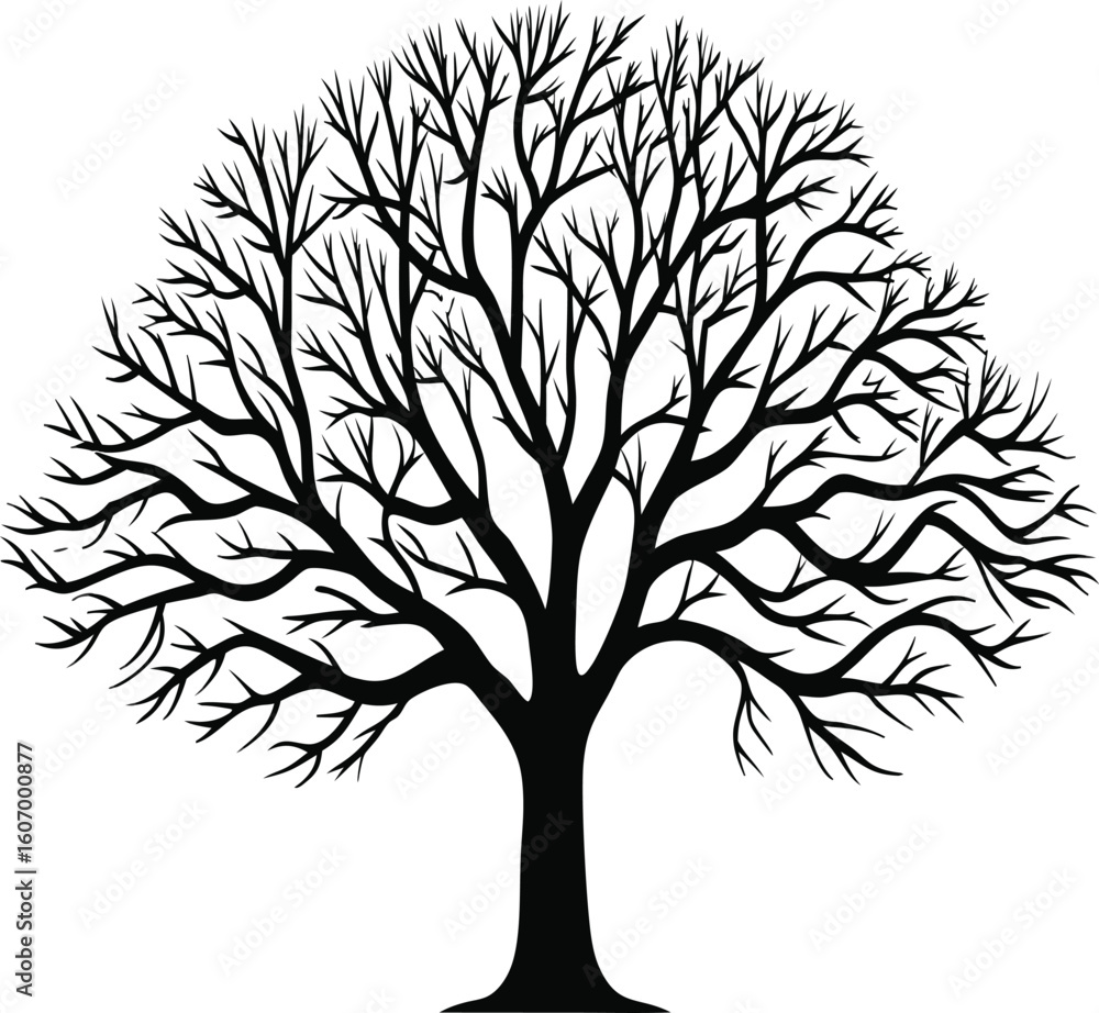 Obraz premium a single black silhouette of a bare tree with intr