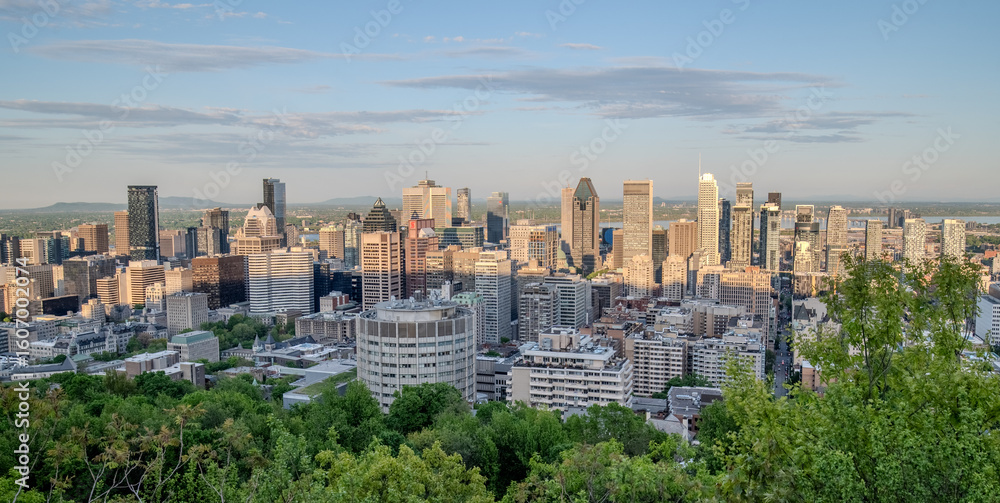 Fototapeta premium Montreal city skyline panorama at sunset viewed from Mont Royal with urban skyscrapers.
