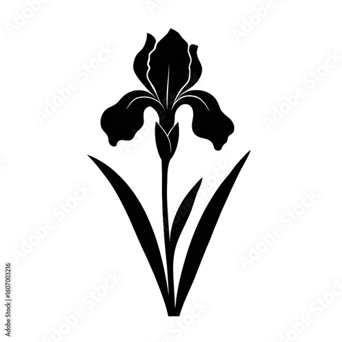 Iris flower illustration vector silhouette