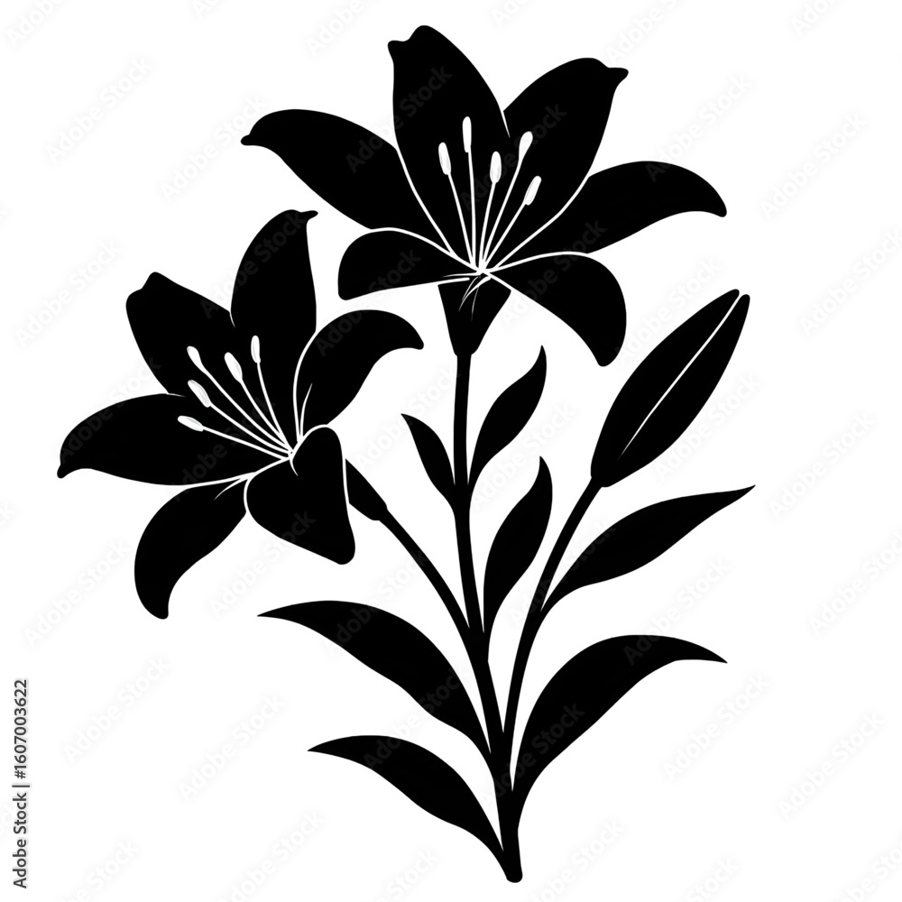 Obraz premium vector illustration of a lily flower