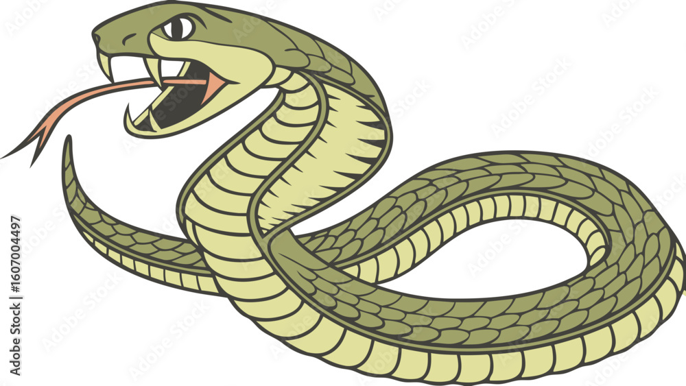 Obraz premium snake on a white background