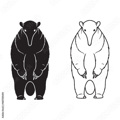 Anteater Visual - Unique Critter - Stealthy Forager - Anteater silhouette - Anteater lineart - Anteater vector - vector set of Anteater

