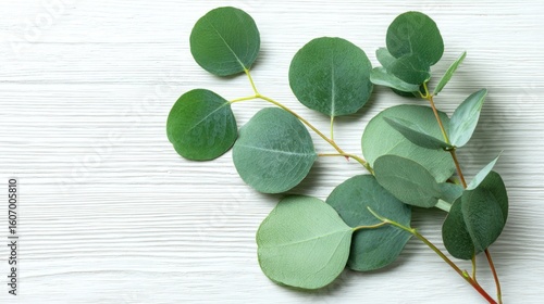 Fresh eucalyptus leaves arranged on a white wooden surface.
