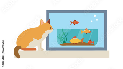 Cute cat watching goldfish in aquarium tank pet animal domestic feline kitten curious orange fishbowl scene