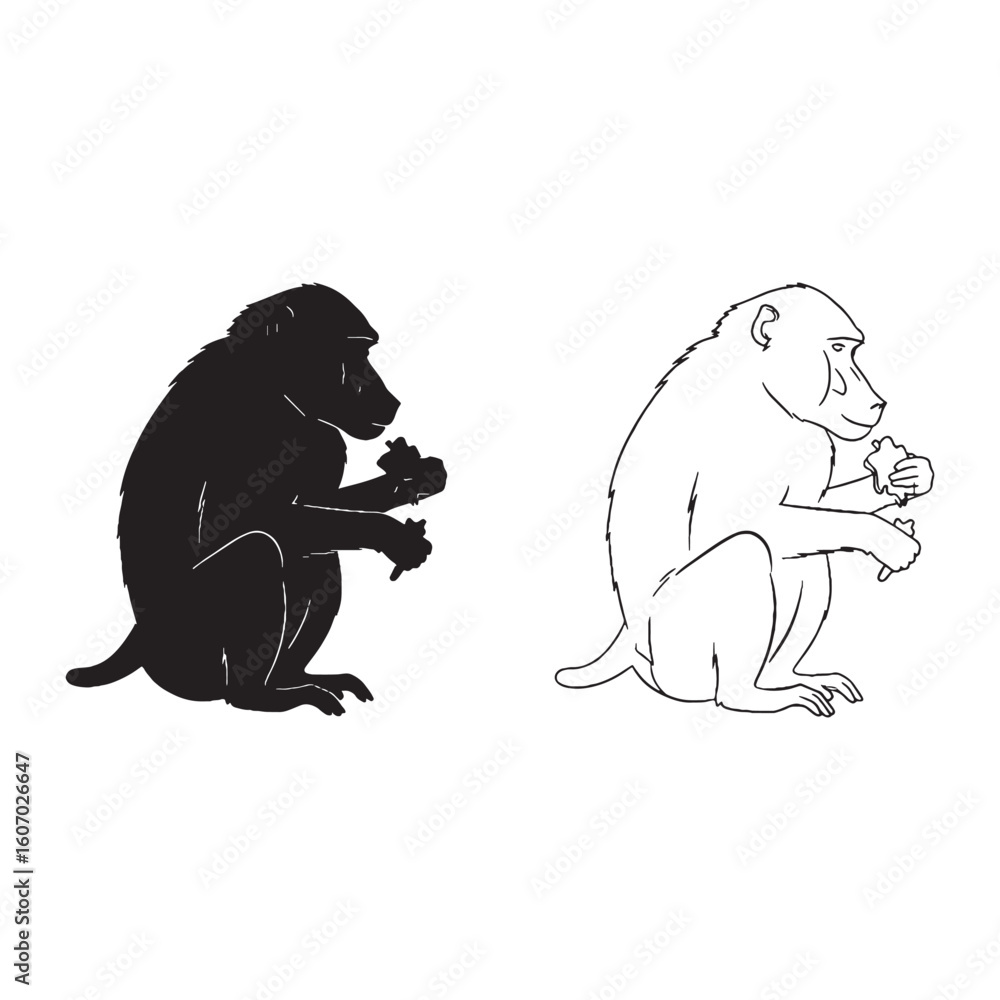 Fototapeta premium A Baboon Figure - Basic Shape - Clear Detail - Baboon silhouette - Baboon lineart - Baboon vector - silhouette & lineart of Baboon