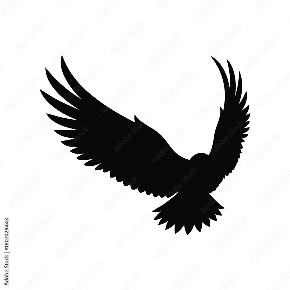 Obraz premium Silhouette of a majestic eagle in flight against a white background
