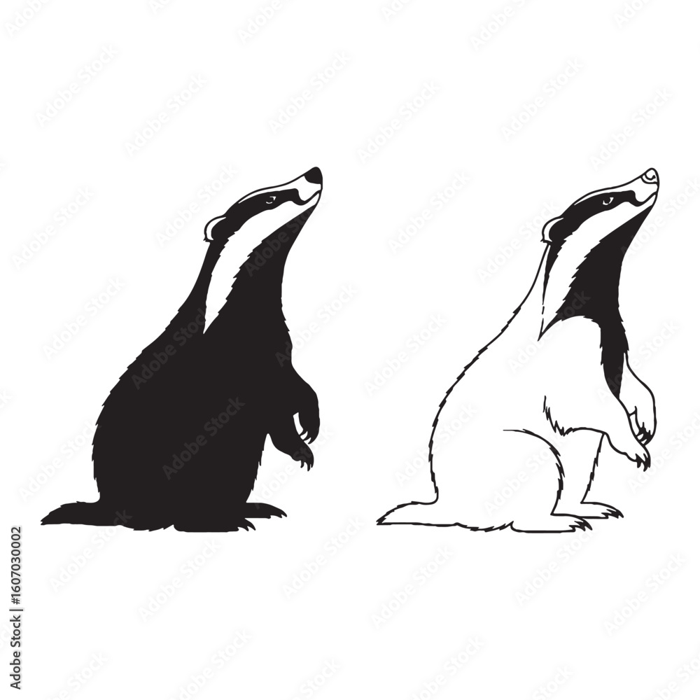 Obraz premium A Badger Art Duo - Night Time Essence - Light Frame - Badger silhouette - Badger lineart - Badger vector - vector set of Badger