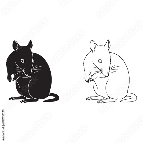 Bandicoot Visual - Unique Critter - Stealthy Forager - Bandicoot silhouette - Bandicoot lineart - Bandicoot vector - vector set of Bandicoot

