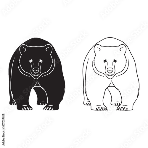 The Bear Form Presentation - Omnivore Habits - Large Head - Bear silhouette - Bear lineart - Bear vector - vector set of Bear

