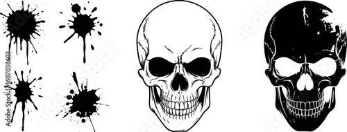 Black ink splatters and skull illustrations splash drop