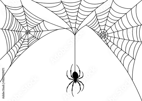 Black spider hanging from intricate web strands vector