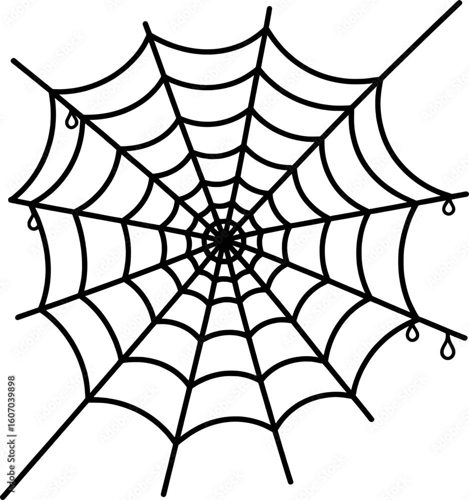 Obraz premium Black spider web intricate pattern with dew drops white background