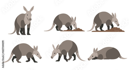 Aardvark illustrations showing various poses and actions in detail  