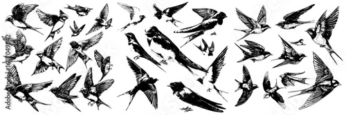 Birds in flight congregate in a group, as depicted in a cartoon illustration of hand-drawn swallows engaged in a struggle, showcasing various poses, designed for children and set against a white