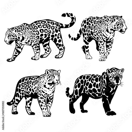 A modern graphic illustration featuring a set of black jaguar silhouettes in various poses, isolated on a white background to highlight the wildcat design