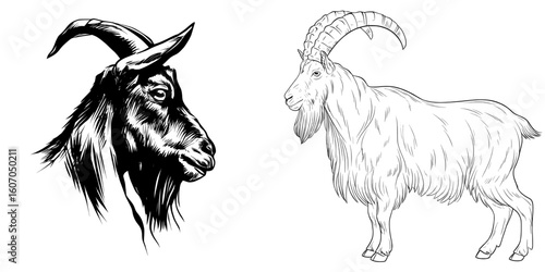 modern black and white portrait of a wild markhor mountain goat in side view showing its head’ becomes ‘wild markhor mountain goat side profile in black and white with a modern head portrait