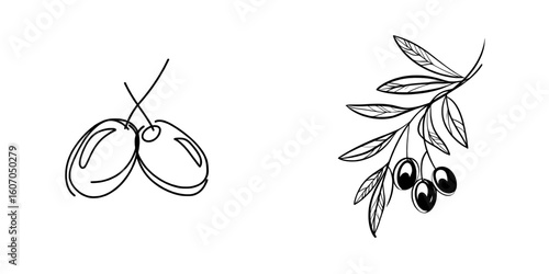 Olives are depicted in a modern illustration through a minimalist black linear sketch on a white background, drawn in continuous line art style