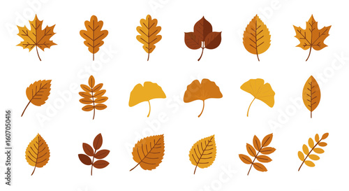 Golden autumn leaves flat vector set, 15 isolated icons