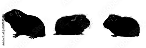 The silhouette of a modern black Guinea pig stands out on a white background