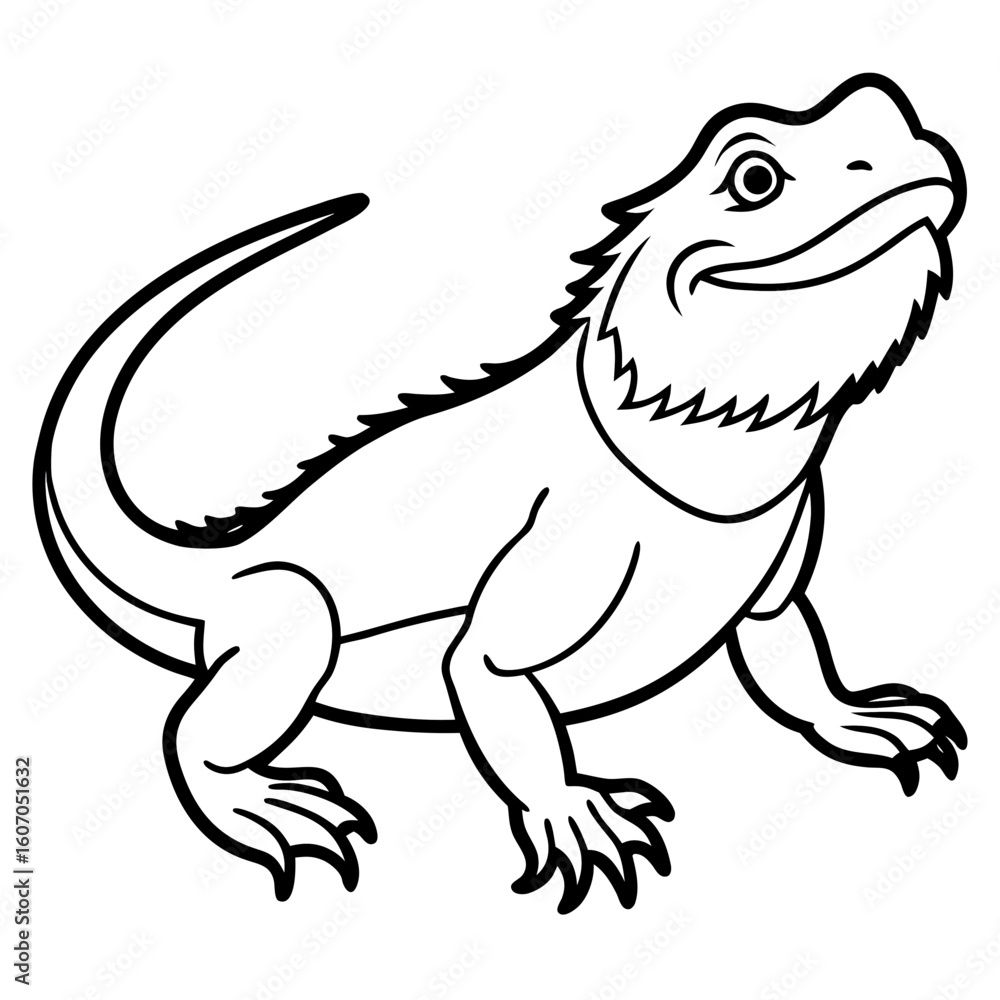 Obraz premium Bearded Dragon line art vector